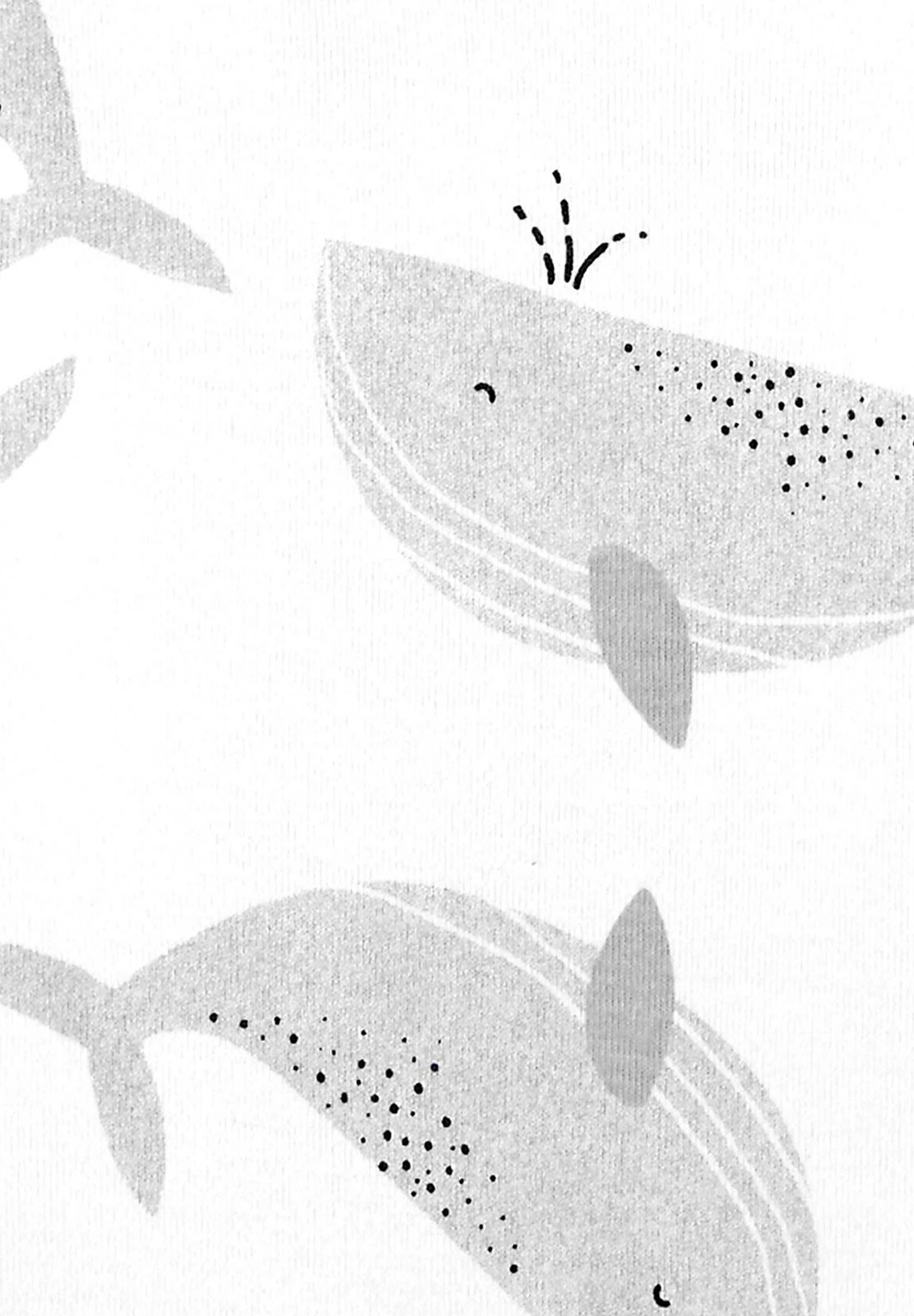 Carter's™ 5Er Pack - Body - Mehrfarbig 4 Carter's™ 5Er Pack - Body - Mehrfarbig - Image 2